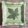 Celadon Square Sweetgum Tray with fluted edge (LL)
