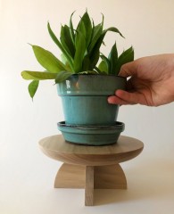 PateWoodworks Companion Plant Stand
