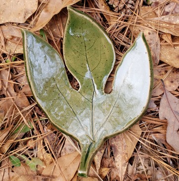 Sassafras Leaf Tray